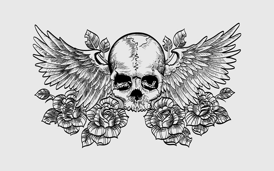 skulls and wings drawings