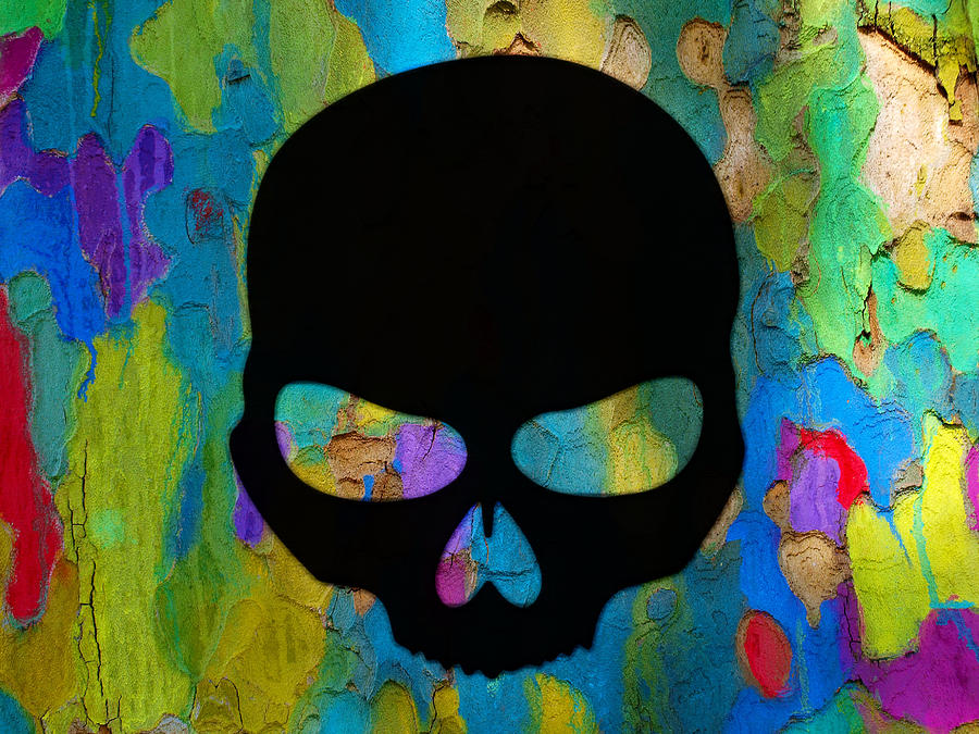 Skull In Color 2 Digital Art by William Young - Fine Art America