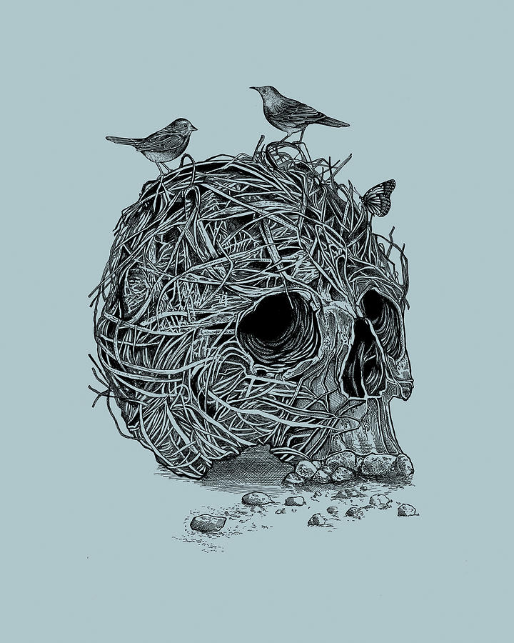 Black And White Digital Art - Skull Nest by Rachel Caldwell