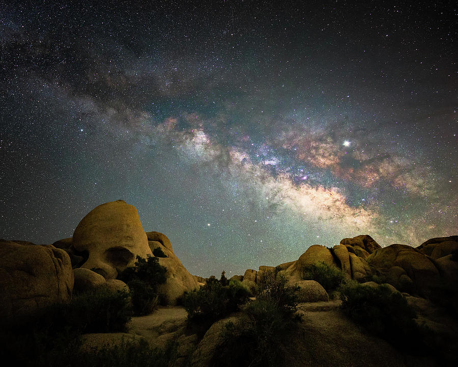 Skull rock and Milky Way Photograph by Davorin Mance