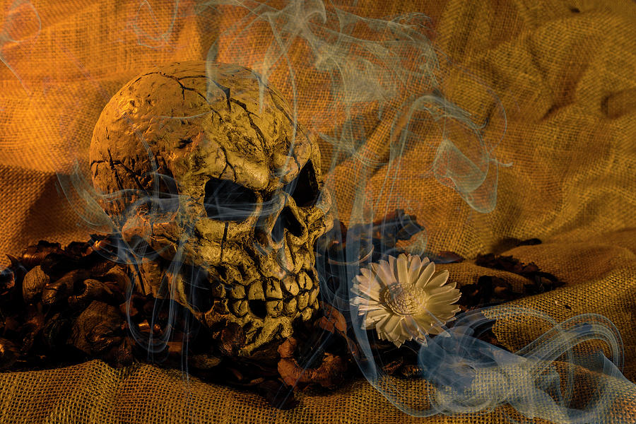 Skull Smoke And Flowers Photograph by Steve Purnell