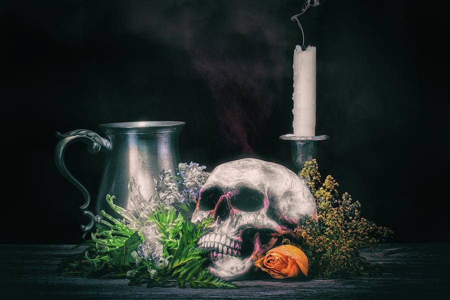 Flower Photograph - Skull With Flowers by Tom Mc Nemar