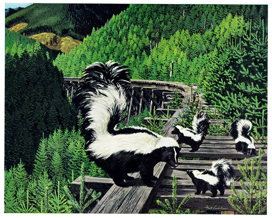Skunk Family Drawing by Fred Ludekens