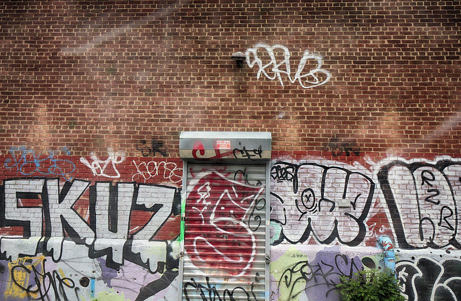 Skuz by Cate Franklyn Skuz by Cate Franklyn