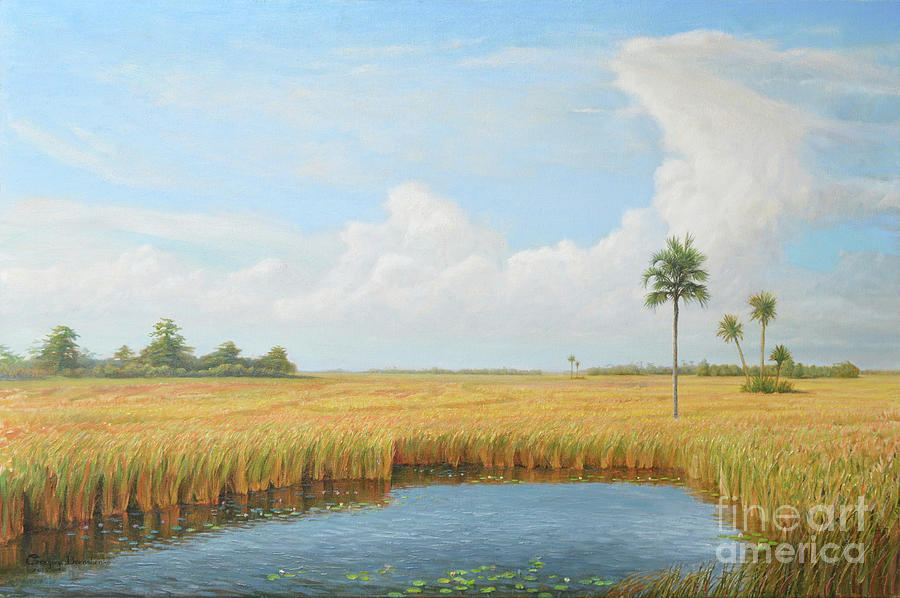 Sky above the Great Everglades Painting by Gregory Doroshenko