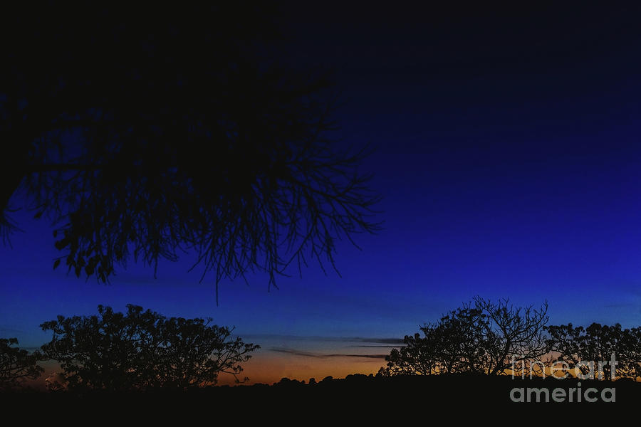 Sky background at dusk with silhouettes of trees and horizon. Photograph by Joaquin Corbalan