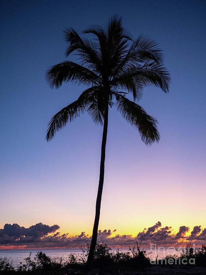 Sky Beach, Eleuthera Photograph by Dylan Garcia