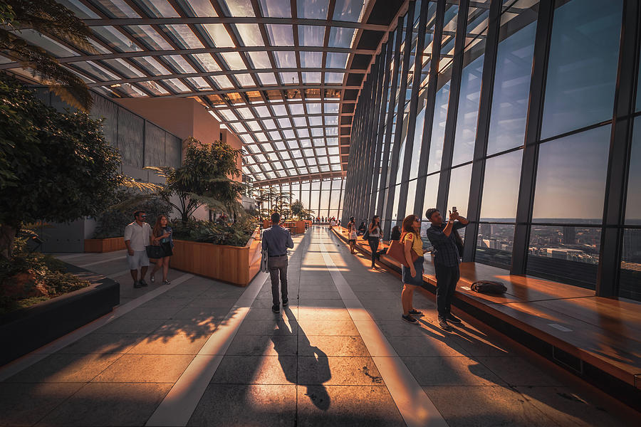 Sky Garden No 1 by Chris Fletcher Sky Garden No 1 by Chris Fletcher