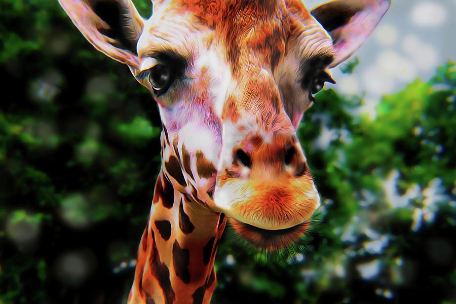 Sky High Giraffe by Christina M Hale Sky High Giraffe by Christina M Hale