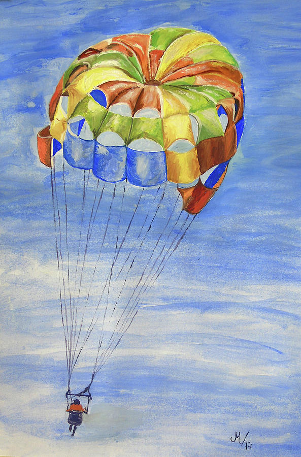 Skydiving Painting by Maria Woithofer