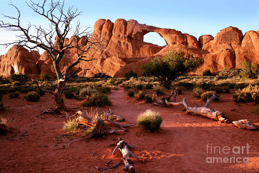 Skyline Arch Photograph by Erika Craddock/science Photo Library
