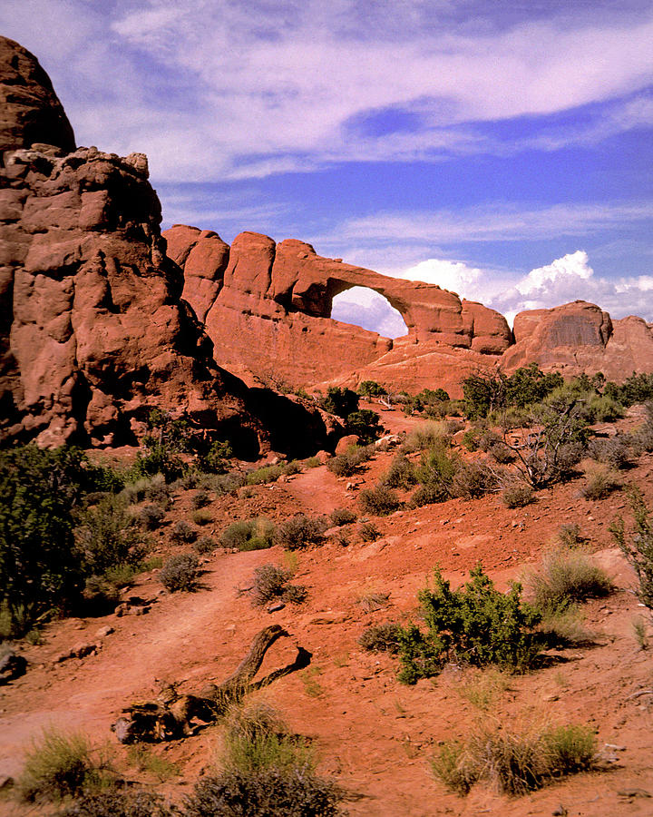 Skyline Arch Photograph by Jerry Griffin