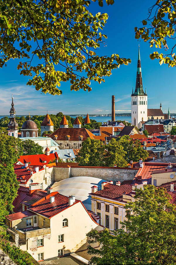 Cityscape Photograph - Skyline Of Tallinn, Estonia At The Old by Sean Pavone
