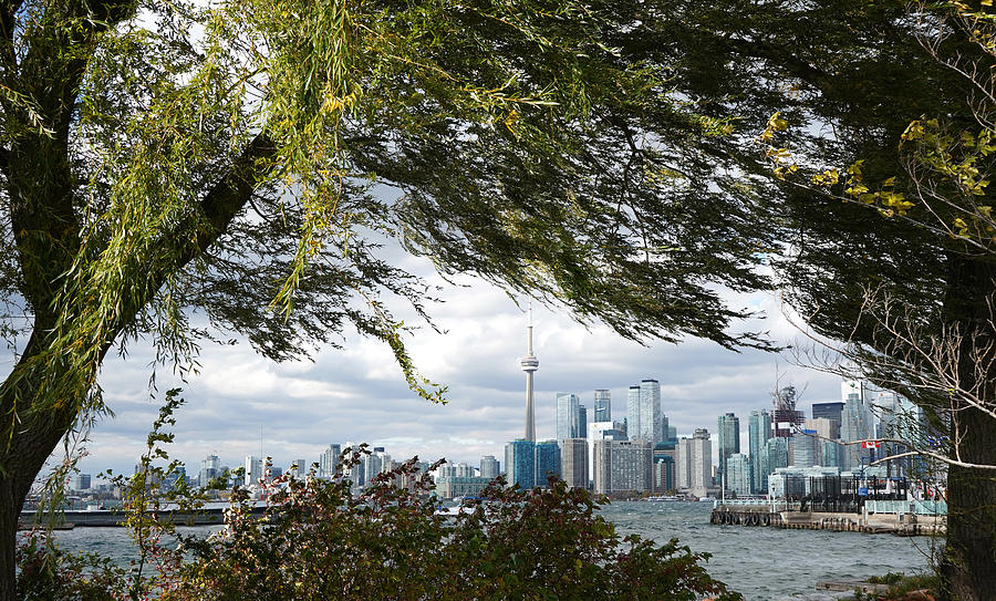Skyline Of Toronto 3 Photograph by Andrew Fare