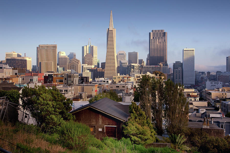 Skyline, San Francisco, California Digital Art by Anna Serrano