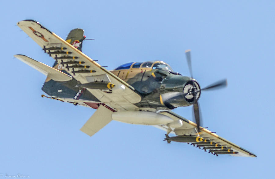 Skyraider 1 Photograph by Tommy Anderson