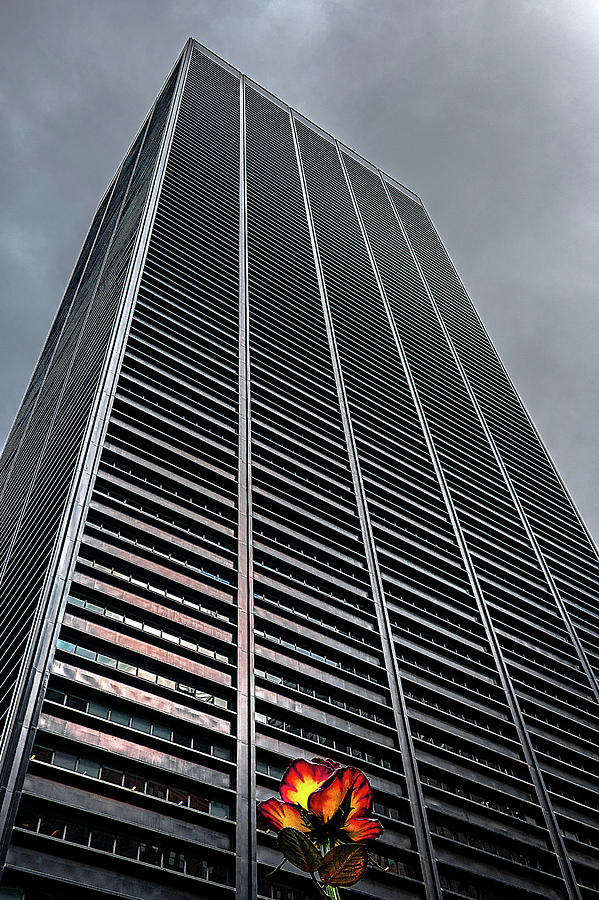 Skyscraper with flower Photograph by Patrick Boening