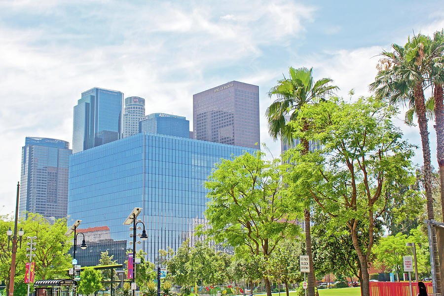 Skyscrapers And Palms In Downtown Los Angeles From Spring Street California Photograph By Ruth Hager