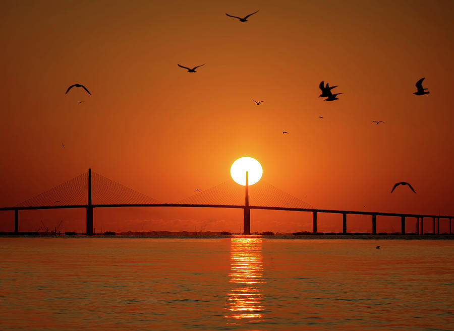 Skyway Bridge Sunrise Photograph by Lisa Malecki