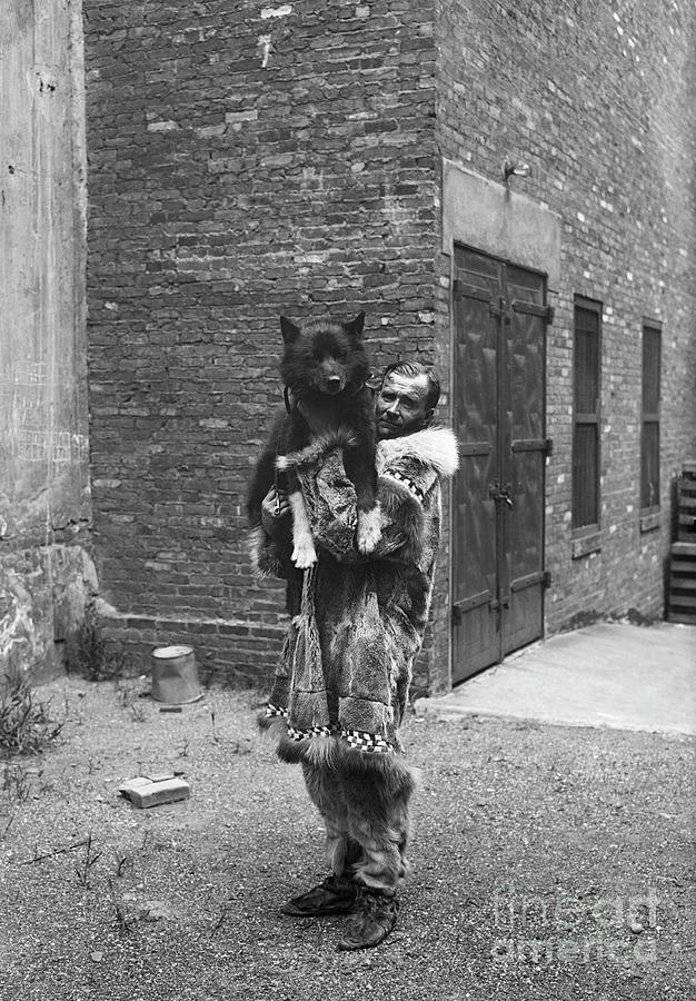 Sledder Holding His Famous Dog Balto Photograph by Bettmann