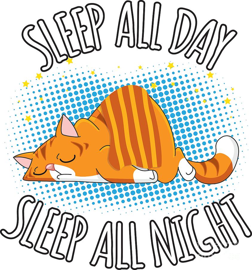 sleep all day sleep all night lazy cat mister tee