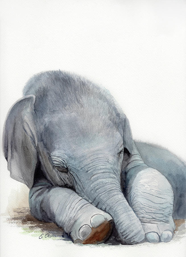 Sleeping Baby Elephant Painting by Emily Olson