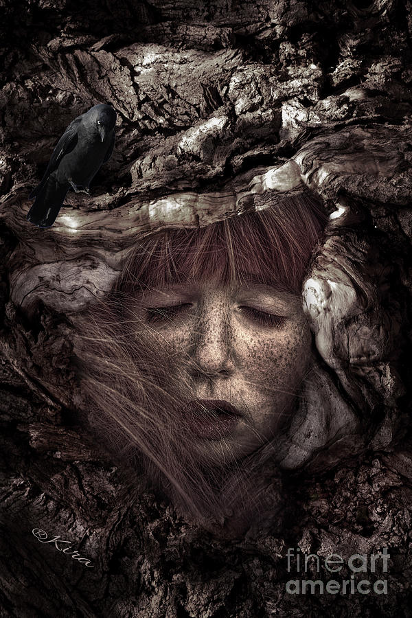 Sleeping beauty Photograph by Kira Bodensted