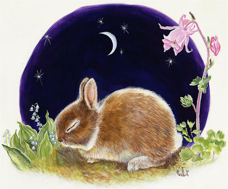 Sleeping Bunny Digital Art by Judy Mastrangelo - Fine Art America