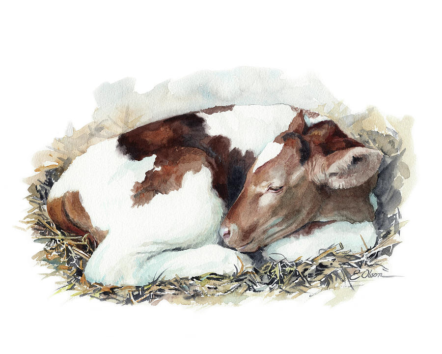 Sleeping Calf Painting by Emily Olson