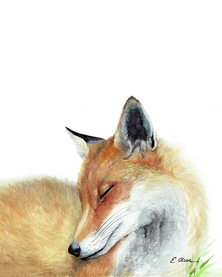 Sleeping Fox Painting by Emily Olson