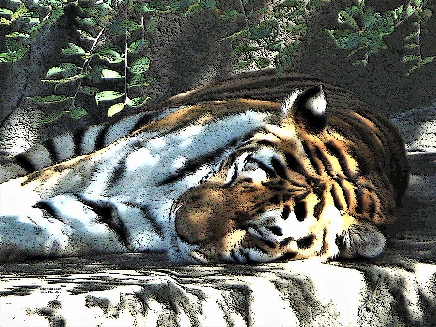 Sleeping Tiger Digital Art by Diane Chandler