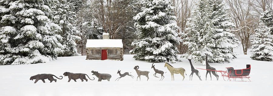 Tree Photograph - Sleigh In The Snow, Farmington Hills, Michigan ?09 by Monte Nagler