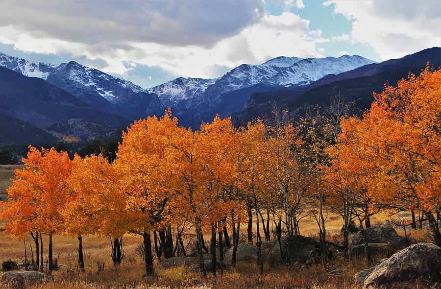 Slice of Orange Photograph by Larry Kniskern | Pixels