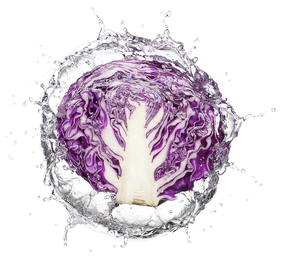 Slice Of Purple Cabbage Splash Photograph by Chris Stein