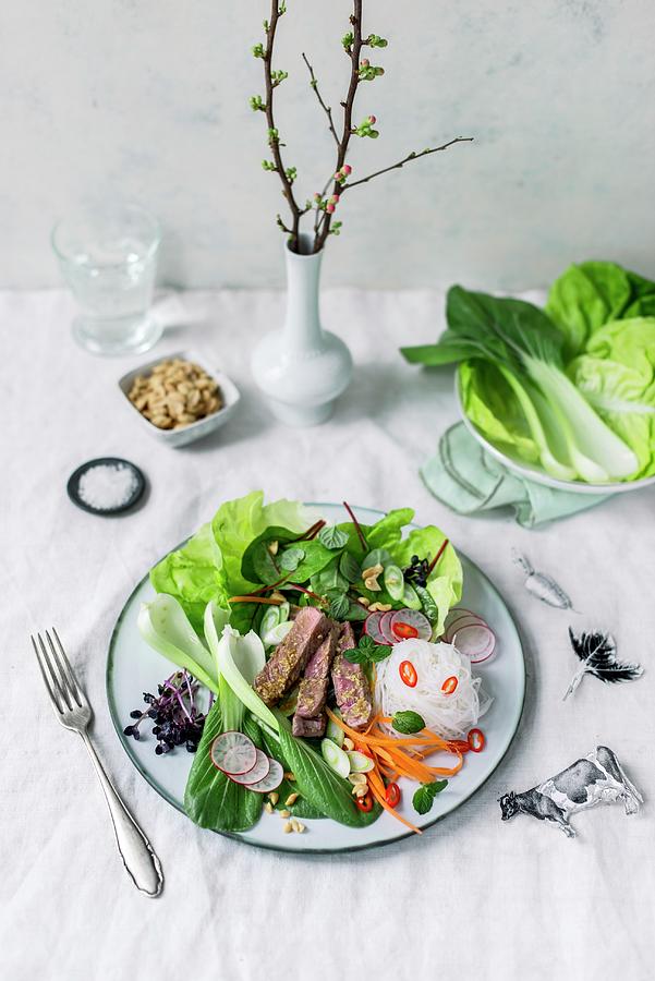 Sliced Beef Steak With Asian Vegetables, Glass Noodles, Peanuts And A Ginger And Lime Dressing Photograph by Carolin Strothe