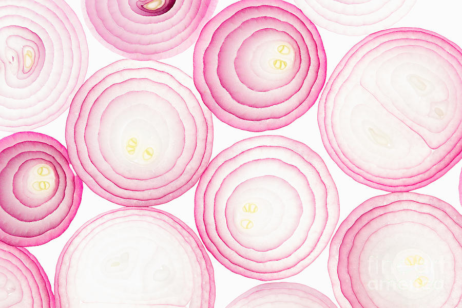 Harmony Photograph - Sliced Pink Onion. Slices. Pattern by Alina Yudina Harmony Photograph - Sliced Pink Onion. Slices. Pattern by Alina Yudina