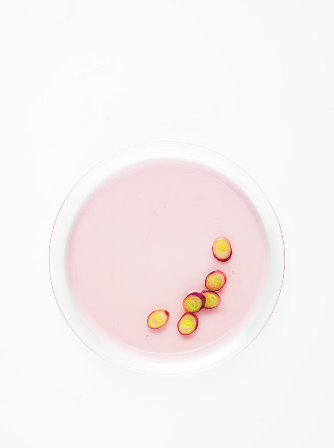 Sliced Shallot And Perfumed Pink Jelly Photograph by Cabanes-valle