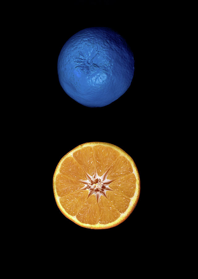 Slices of  blue and orange fresh Citrus orange fruit Photograph by Michalakis Ppalis