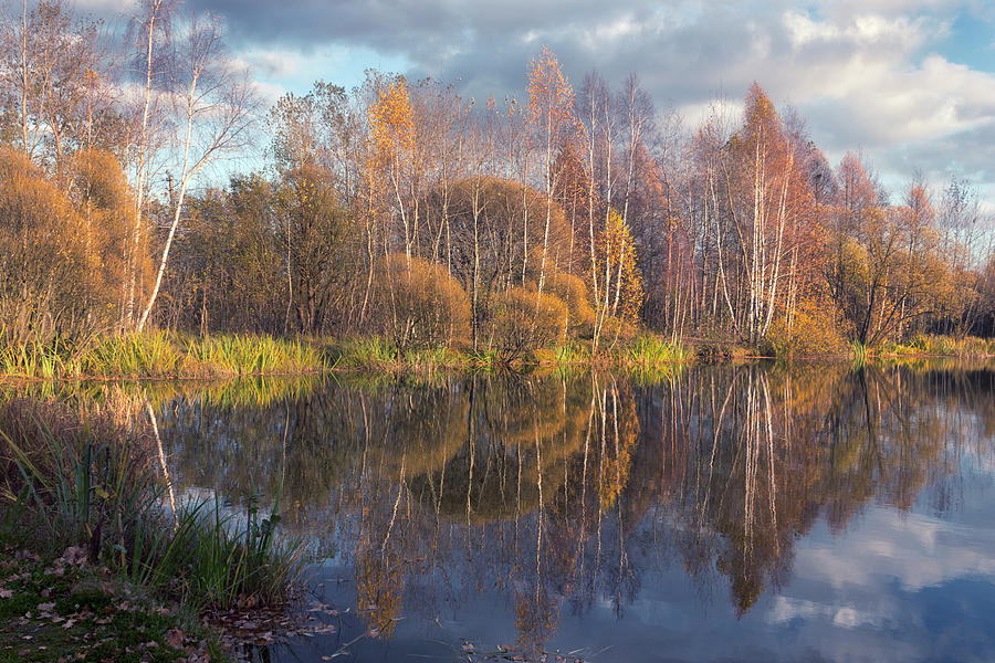 Slightly Sun On A Cold Day Photograph by Margarita Buslaeva Fine Art