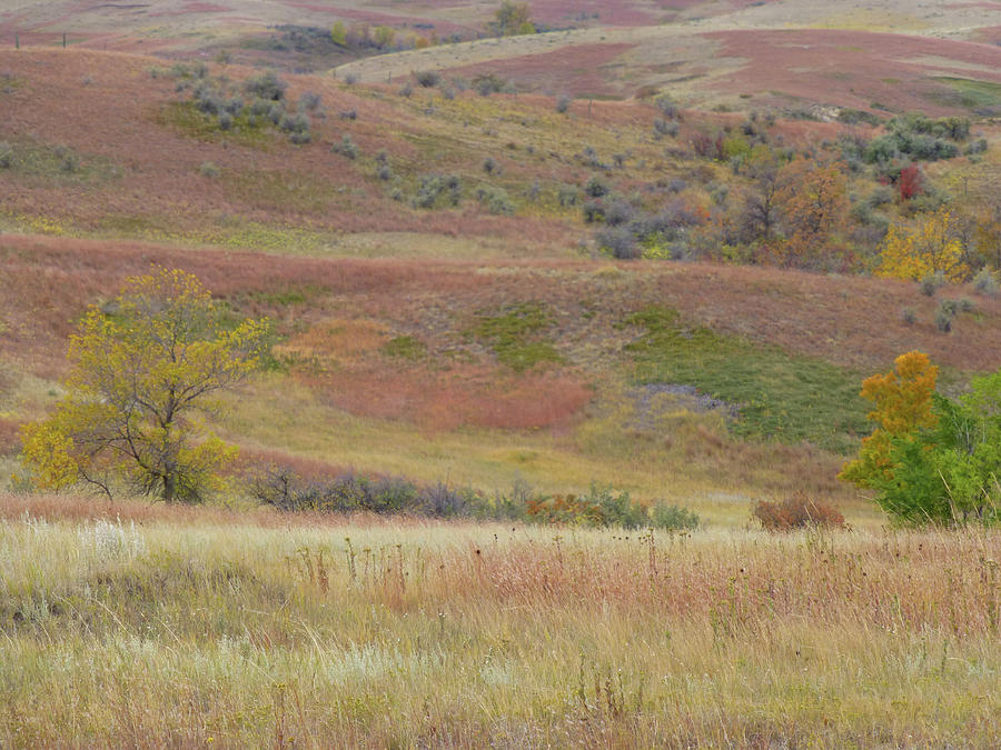 Slope County September Hills Photograph by Cris Fulton