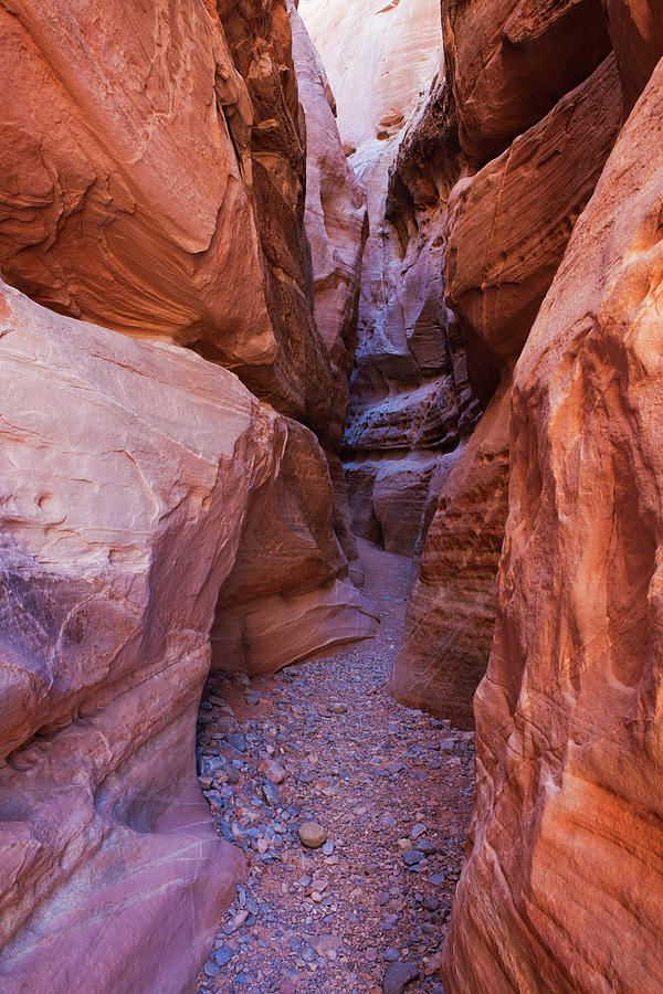 Slot Canyon Colors Photograph by Lucynakoch