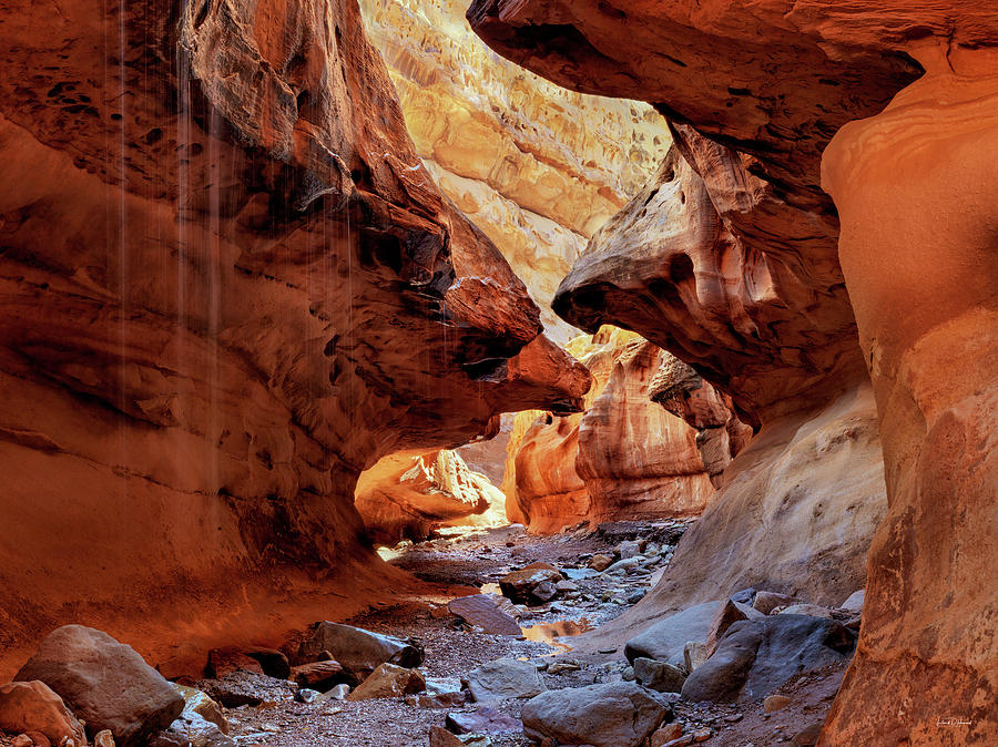 Slot Canyon Forms and Light Photograph by Leland D Howard
