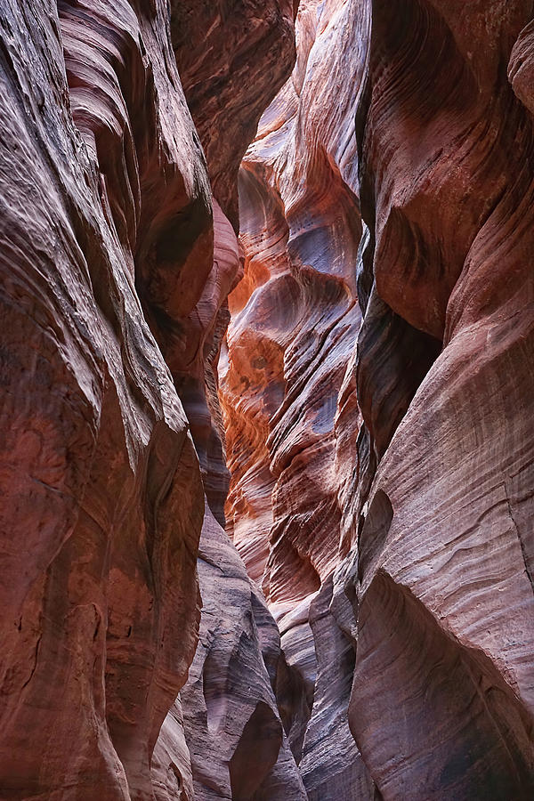 Slot Canyon Geometry Photograph by Leda Robertson