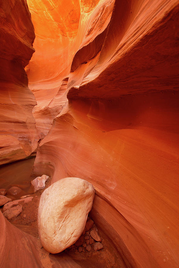 Slot Canyon Landscape Photograph by Amygdala imagery