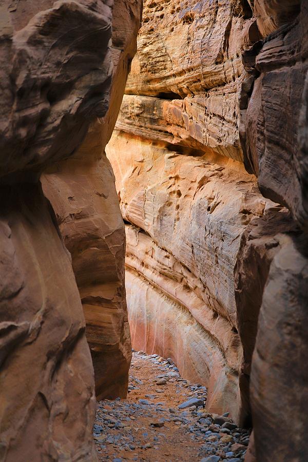 Valley Of Fire State Park Photograph - Slot Canyon by Maria Jansson
