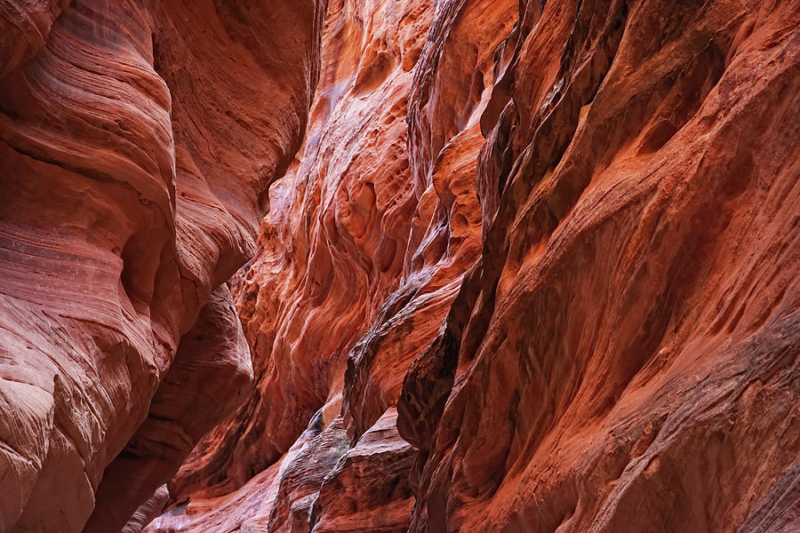 Slot Canyon Textures Photograph by Leda Robertson