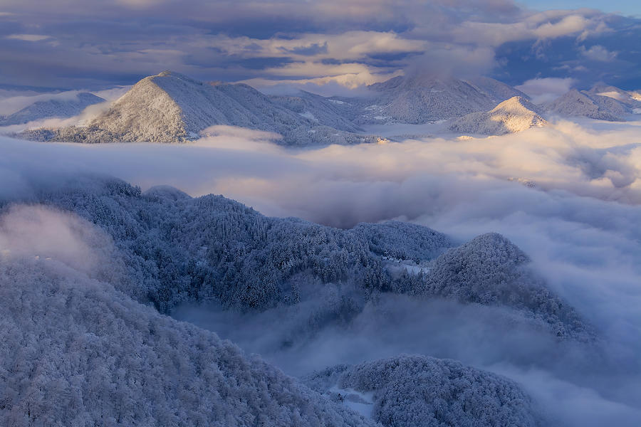 Slovenian Forests Photograph by Jure Kravanja - Fine Art America