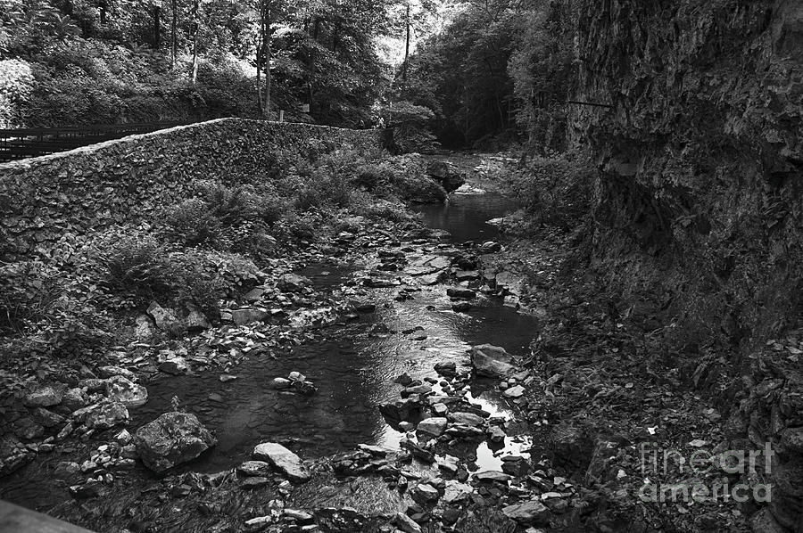 Slow Moving River Bed by Ruth H Curtis Slow Moving River Bed by Ruth H Curtis