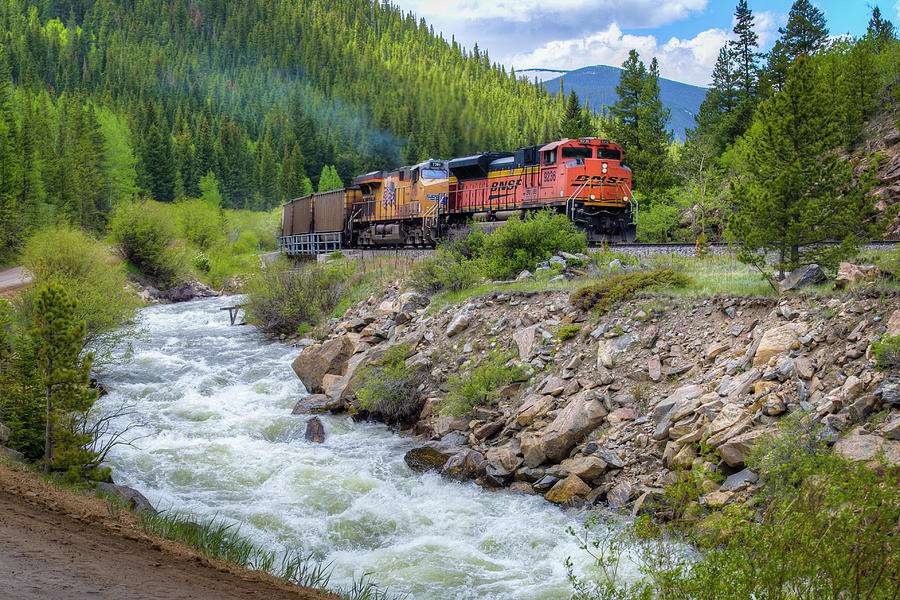 Slow Train Coming Photograph by G Wigler