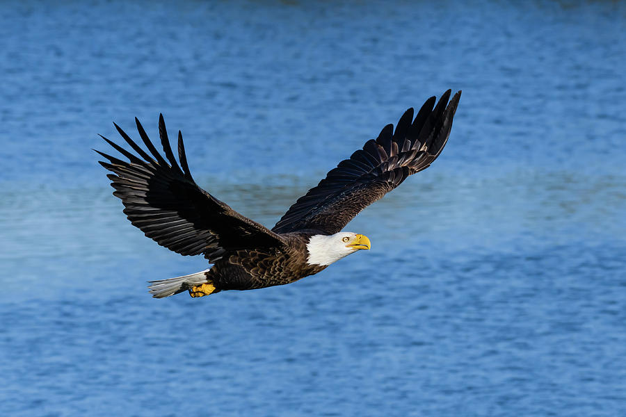 Slowly Rising Photograph by Chuck Behrmann - Fine Art America